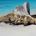 Cayo Largo, Il Paradiso Marino